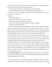 Smulkaus ir vidutinio verslo darbas 10 puslapis