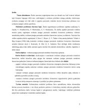 Sveikatos įstaigos personalo struktūros formavimas 2 puslapis