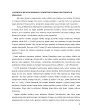 Sveikatos įstaigos personalo struktūros formavimas 3 puslapis