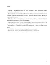 Emerseno pranašumo principai 2 puslapis