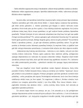 Emerseno pranašumo principai 12 puslapis