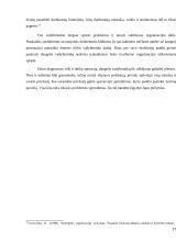 Emerseno pranašumo principai 17 puslapis