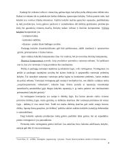 Emerseno pranašumo principai 4 puslapis