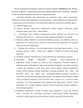 Emerseno pranašumo principai 5 puslapis