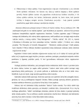 Emerseno pranašumo principai 6 puslapis