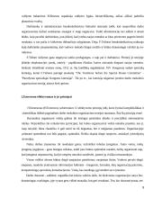 Emerseno pranašumo principai 8 puslapis