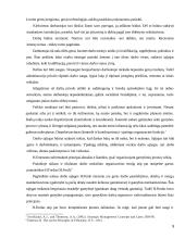 Emerseno pranašumo principai 9 puslapis