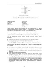 Įmonės strategijų matricos  17 puslapis