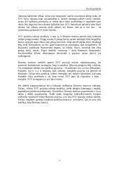 Įmonės strategijų matricos  3 puslapis