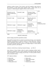 Įmonės strategijų matricos  6 puslapis