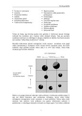 Įmonės strategijų matricos  7 puslapis