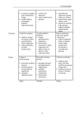 Įmonės strategijų matricos  10 puslapis