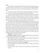 Matricinė valdymo struktūra. Referatas 2 puslapis