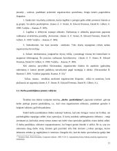 Matricinė valdymo struktūra. Referatas 11 puslapis