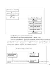 Matricinė valdymo struktūra. Referatas 14 puslapis