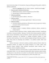 Matricinė valdymo struktūra. Referatas 17 puslapis