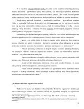 Matricinė valdymo struktūra. Referatas 18 puslapis