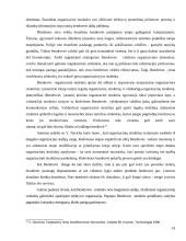 Matricinė valdymo struktūra. Referatas 19 puslapis