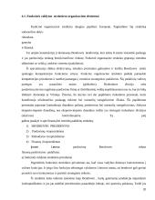 Matricinė valdymo struktūra. Referatas 20 puslapis