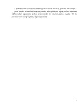 Matricinė valdymo struktūra. Referatas 3 puslapis