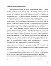 Matricinė valdymo struktūra. Referatas 4 puslapis