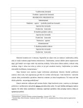 Matricinė valdymo struktūra. Referatas 5 puslapis