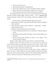 Matricinė valdymo struktūra. Referatas 7 puslapis