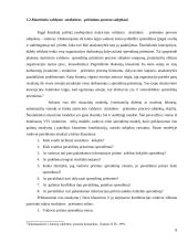 Matricinė valdymo struktūra. Referatas 8 puslapis