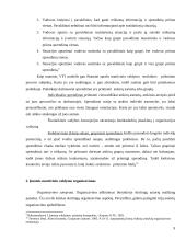 Matricinė valdymo struktūra. Referatas 9 puslapis