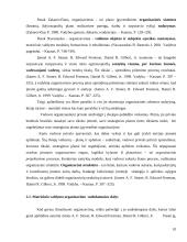 Matricinė valdymo struktūra. Referatas 10 puslapis