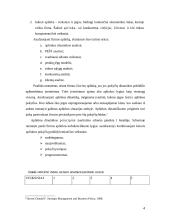Organizacijos aplinka, analizė 4 puslapis