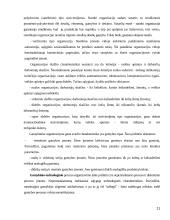 Organizacijų sistemos 11 puslapis