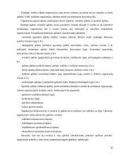 Organizacijų sistemos 12 puslapis