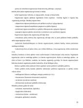 Organizacijų sistemos 13 puslapis