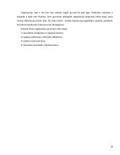 Organizacijų sistemos 14 puslapis