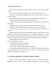 Organizacijų sistemos 3 puslapis