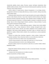 Organizacijų sistemos 4 puslapis