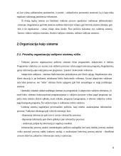 Organizacijų sistemos 6 puslapis