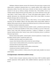 Organizacijų sistemos 7 puslapis