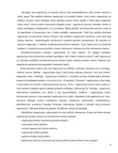 Organizacijų sistemos 8 puslapis