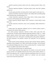 Organizacijų sistemos 9 puslapis