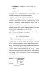Įmonės veiklos sėkmė 11 puslapis