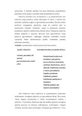Įmonės veiklos sėkmė 7 puslapis
