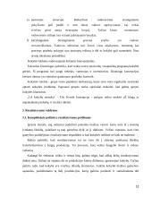 Organizacijų žlugimo priežastys 12 puslapis