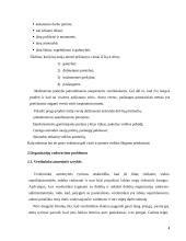 Organizacijų žlugimo priežastys 4 puslapis