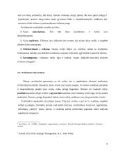 Organizacijų žlugimo priežastys 5 puslapis