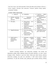 Organizacijų žlugimo priežastys 10 puslapis