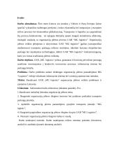 Organizacijų plėtros teorijų taikymas 2 puslapis