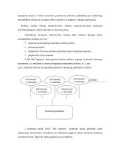 Organizacijų plėtros teorijų taikymas 12 puslapis