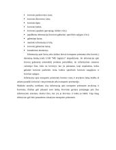 Organizacijų plėtros teorijų taikymas 13 puslapis